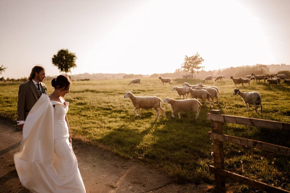 Wedding photograph by Sky Photography — a couple walk past a field of sheep in low golden evening sun